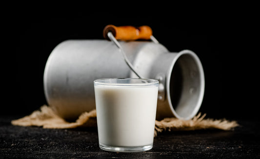 Pourquoi choisir des cosmétiques au lait de chamelle ? Origine, bienfaits et tradition